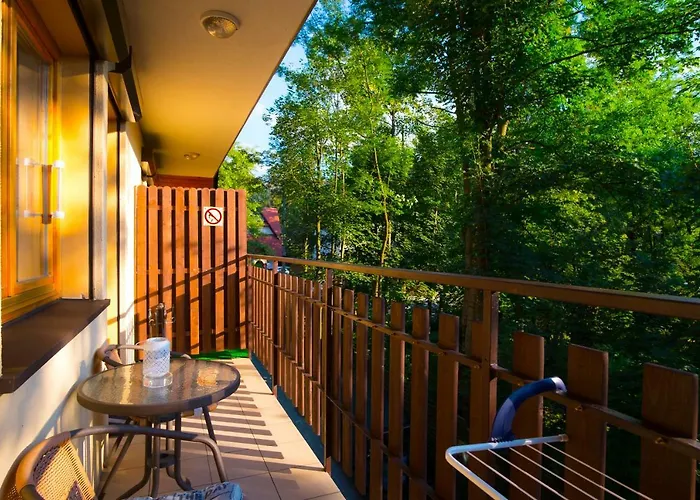 Droga Na Bystre Zakopane